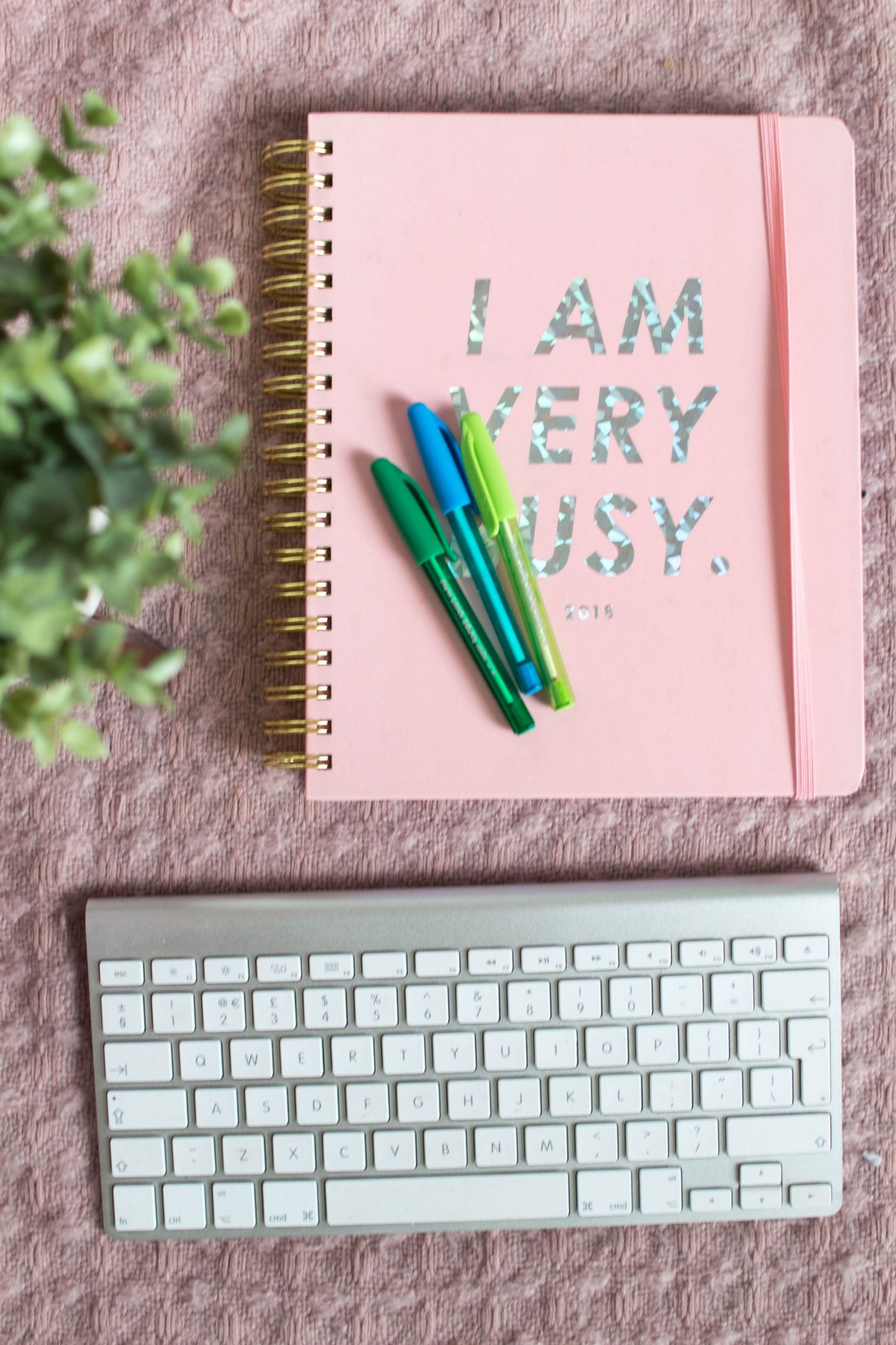 Life 1 Year After Graduating & How To Find The Perfect Graduate Job